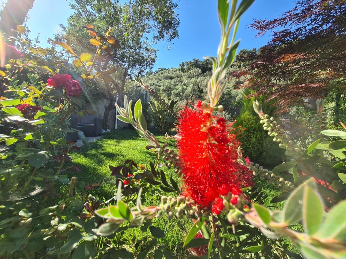 The Garden Villa Volastra Eksteriør bilde